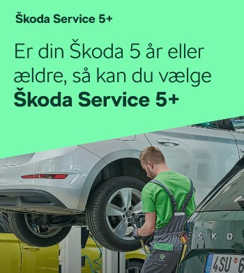  5+ Service 0223